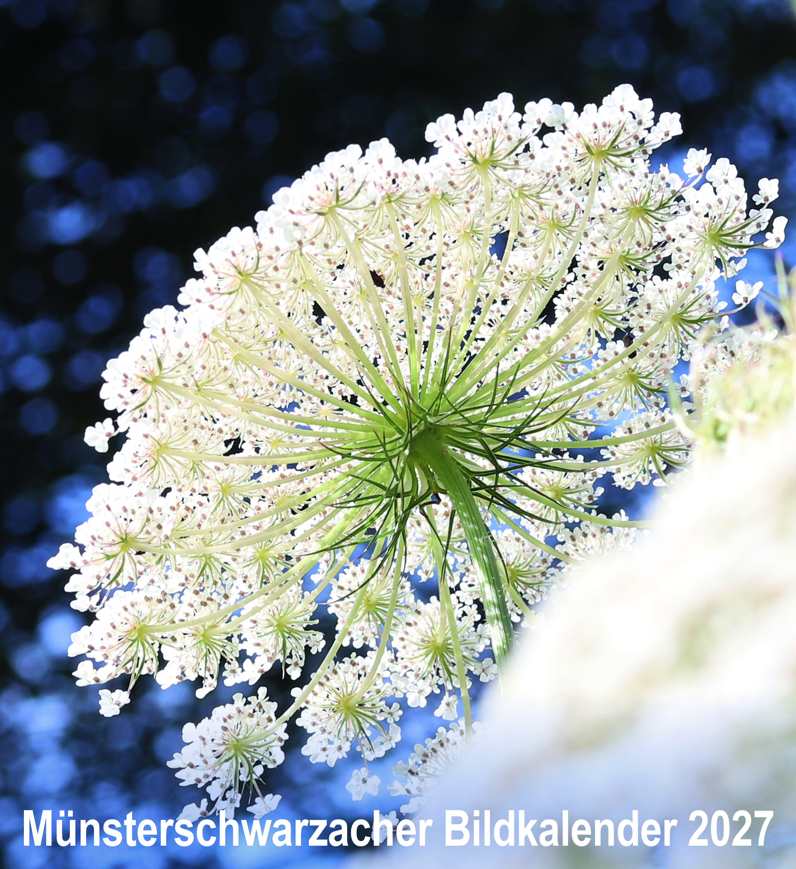 Münsterschwarzacher Bildkalender 2027