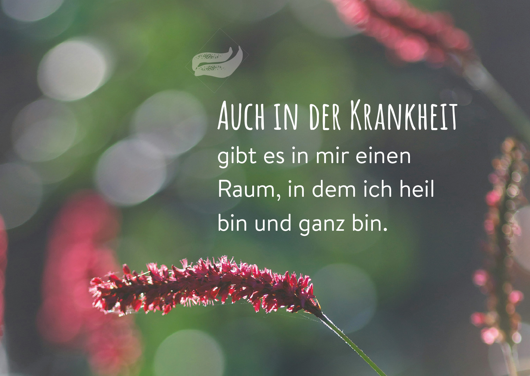 Was Mut schenkt – 25 Karten in Zeiten der Krankheit