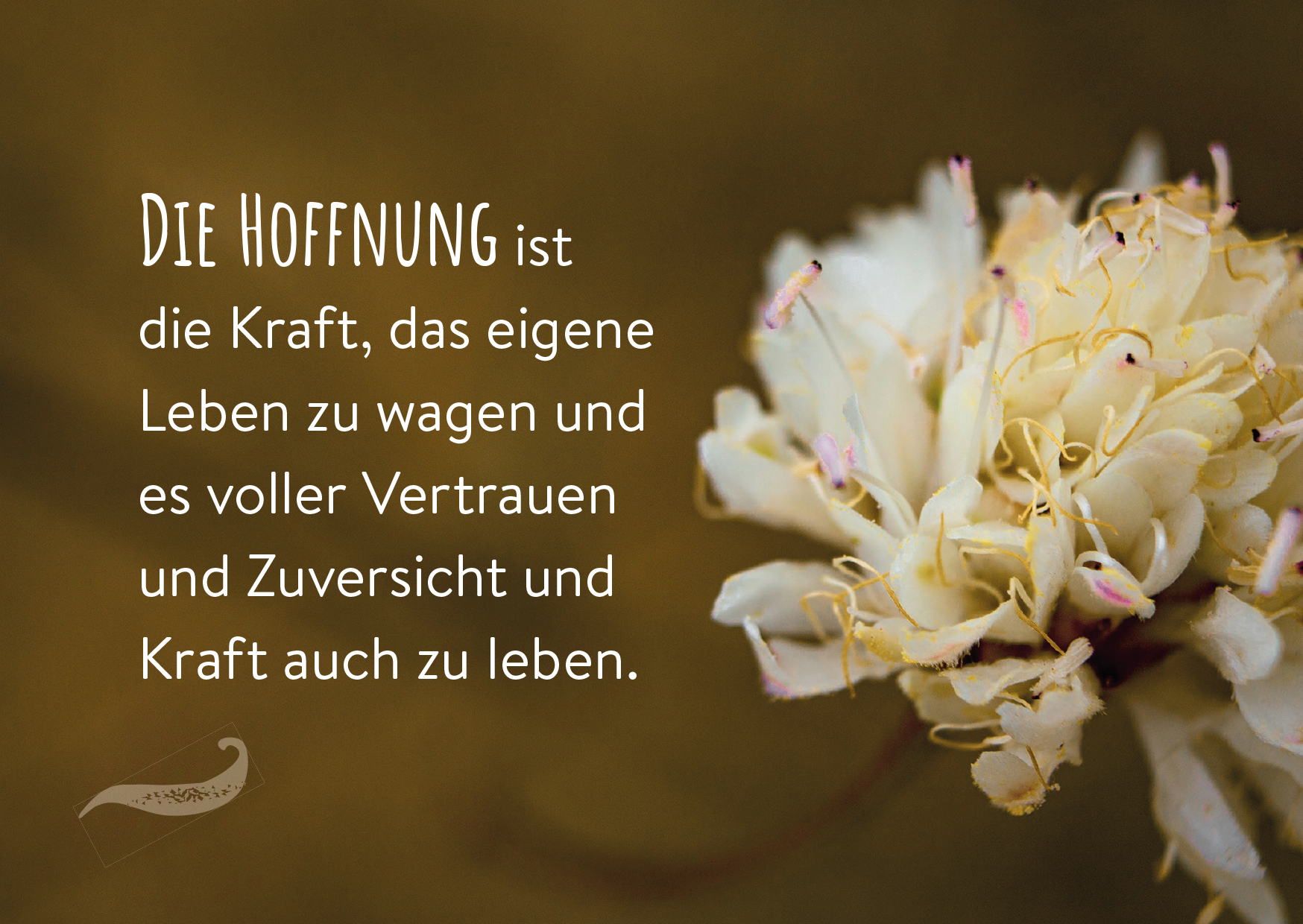 Was Mut schenkt – 25 Karten in Zeiten der Krankheit