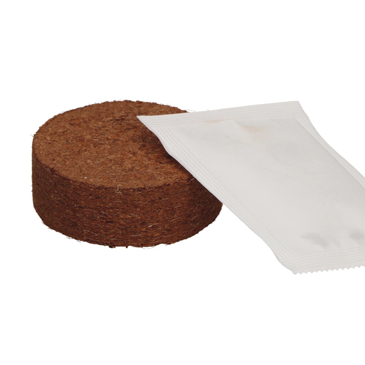 Pflanzset – Dein Tannenbaum 2030 Pflanzset – Dein Tannenbaum 2030